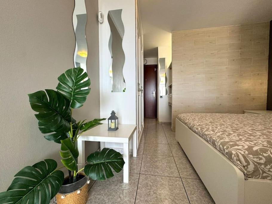 Palm Garden Apartment Morro Jable  Exterior foto